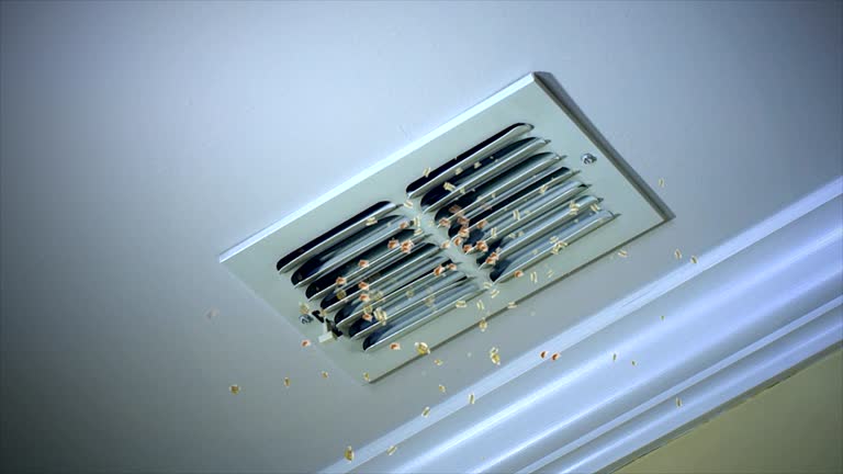 Best Professional Duct Cleaning Services  in Farngton Hills, MI