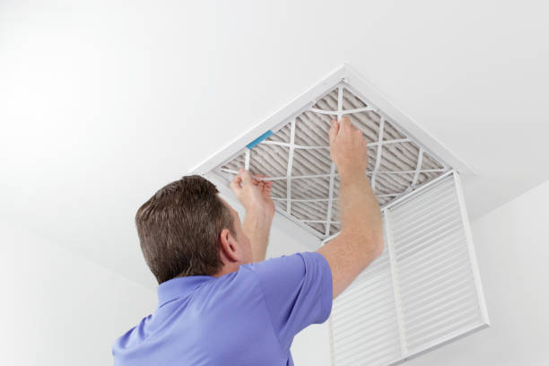 Best Home Air Vent Cleaning  in Farngton Hills, MI